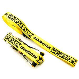 4099272fcb8e23c0e679b3f7859c82ec_area_2000