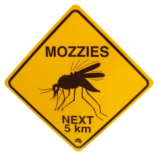 Mozzies
