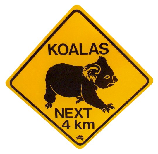 Koalas