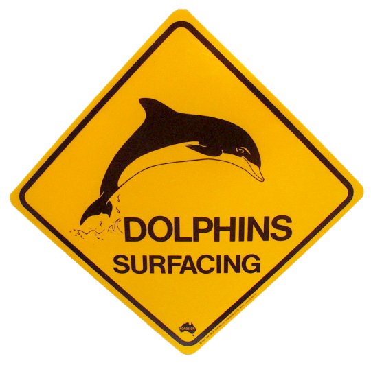 Dauphins