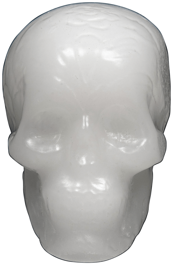 Wax Skull White