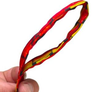 Bolasconiquessacnofilet15