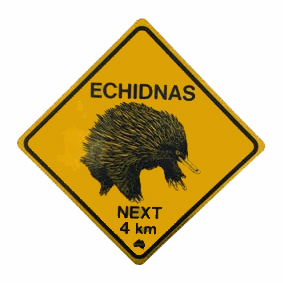 Echidnas