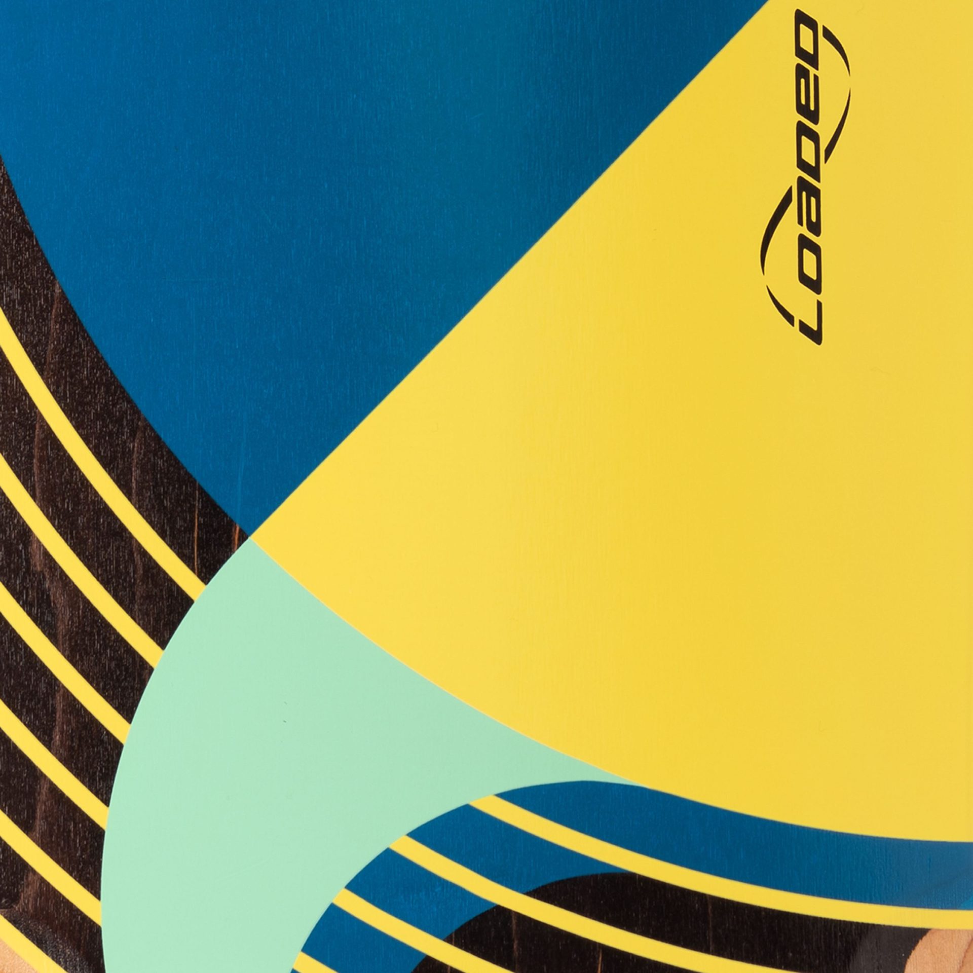 Loaded-Ballona-Willy-detail-graphic