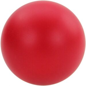 NetJuggler-Balle-Scene-100mm-EOZOE-peche-210g-22