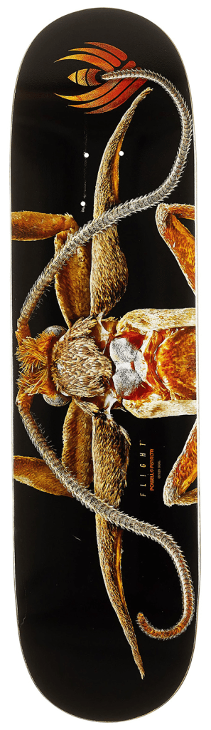 DECK FLIGHT BISS MARION MOTH 8.25 X 31.96