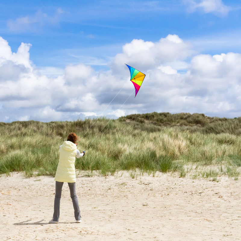 delta-hawk-sans-ligne-et-sans-poignees