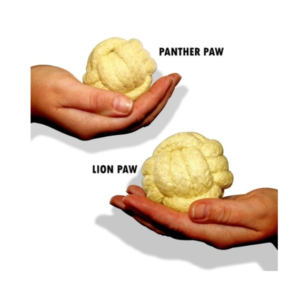 lion-paw-fire-poi-set (1) lion-paw-fire-poi-set (1)